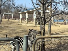 -石家庄市动物园