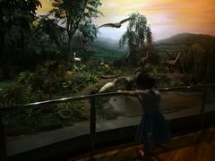 -陕西自然博物馆