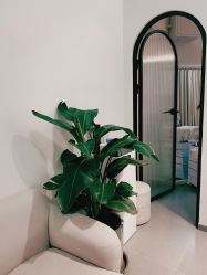 -美愈美肤MEIYU SKIN