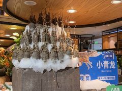 -亚马逊蒸汽活海鲜自助(LCM置汇旭辉广场店)