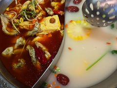 -麻田会 ·牛蛙火锅(珠江新城维家思广场店)