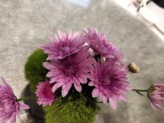 -南堂馆·新川菜(天府三街店)