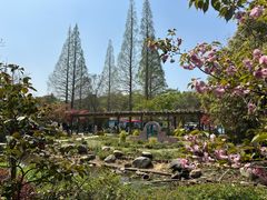-白马涧龙池景区