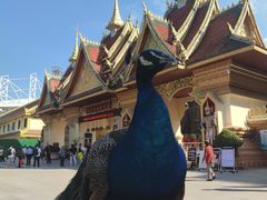 -西双版纳勐泐文化旅游区