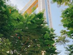 -迪拜相框