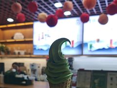 -陆羽泡的茶(集散中心店)