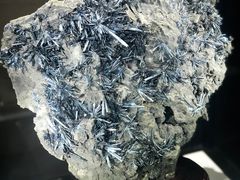 -中国地质大学逸夫博物馆