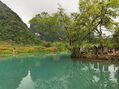 -靖西鹅泉风景区