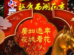 -越秀西湖花市(广州城市广场花卉店)