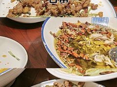 -邵年鸽(杨庄店)