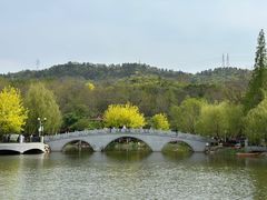-大连植物园