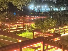 -新江湾城公园