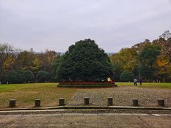 -灵谷景区
