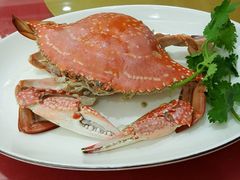 -榕树下海鲜馆(坪山路店)