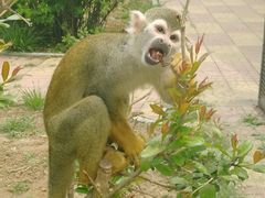 -石家庄市动物园