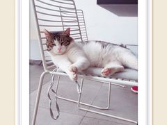 -UNI UNI(环亚凯瑟琳店)