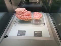 -安徽省地质博物馆