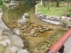 -成飞公园
