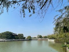 -八大山人梅湖景区