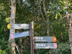 -深圳仙湖植物园