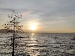 -大理洱海