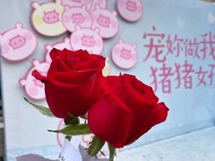 -长沙友阿奥特莱斯