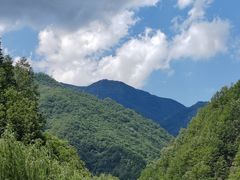 -牛背梁国家森林公园