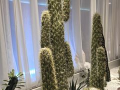 -悦海·家宴·冰花皮皮虾大锅贴(宝龙店)