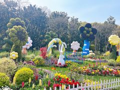 -上海共青森林公园