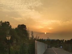 -上海国际音乐村