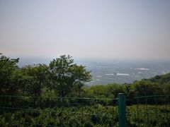 -浮槎山