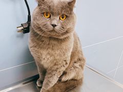 -北京博爱动物医院有限公司