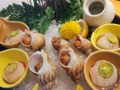 白俄螺刺身-万岁寿司(万国店)