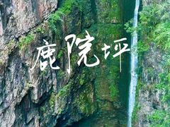 -鹿院坪生态旅游景区