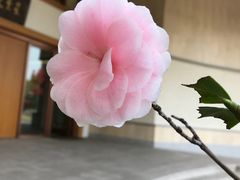 -滴水坊(星云文教馆店)