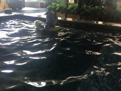 -北京拉斐特城堡酒店