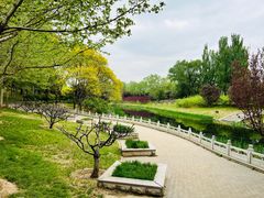 -大望京公园