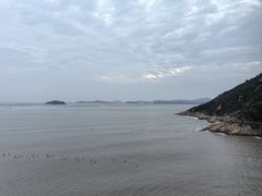 -北岐滩涂