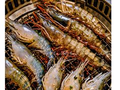 -Tenjo Sushi & Yakiniku Premium Buffet