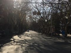 -上海市普陀区中心医院