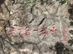 -王顺山国家森林公园