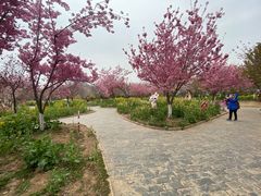 -古柏渡飞黄旅游区