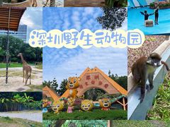 -深圳野生动物园