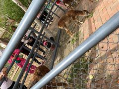 -长白岛森林公园