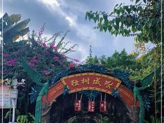 -瑞丽独树成林风景区