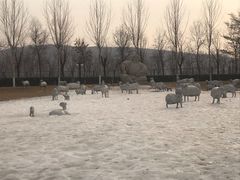 -九十九顶毡房(阜石路店)