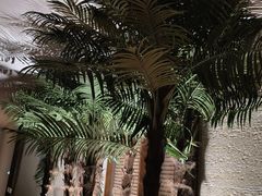 -良子健身·竹Spa(五四广场店)