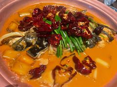 -柿合缘新京菜(国金中心商场店)