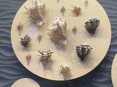 -中国（海南）南海博物馆