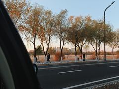 -哈尔滨大剧院